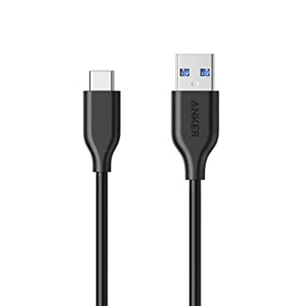 Power Cable 3ft Type C - Image 1